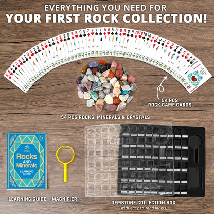PIBEX Rock Collection Starter Kit