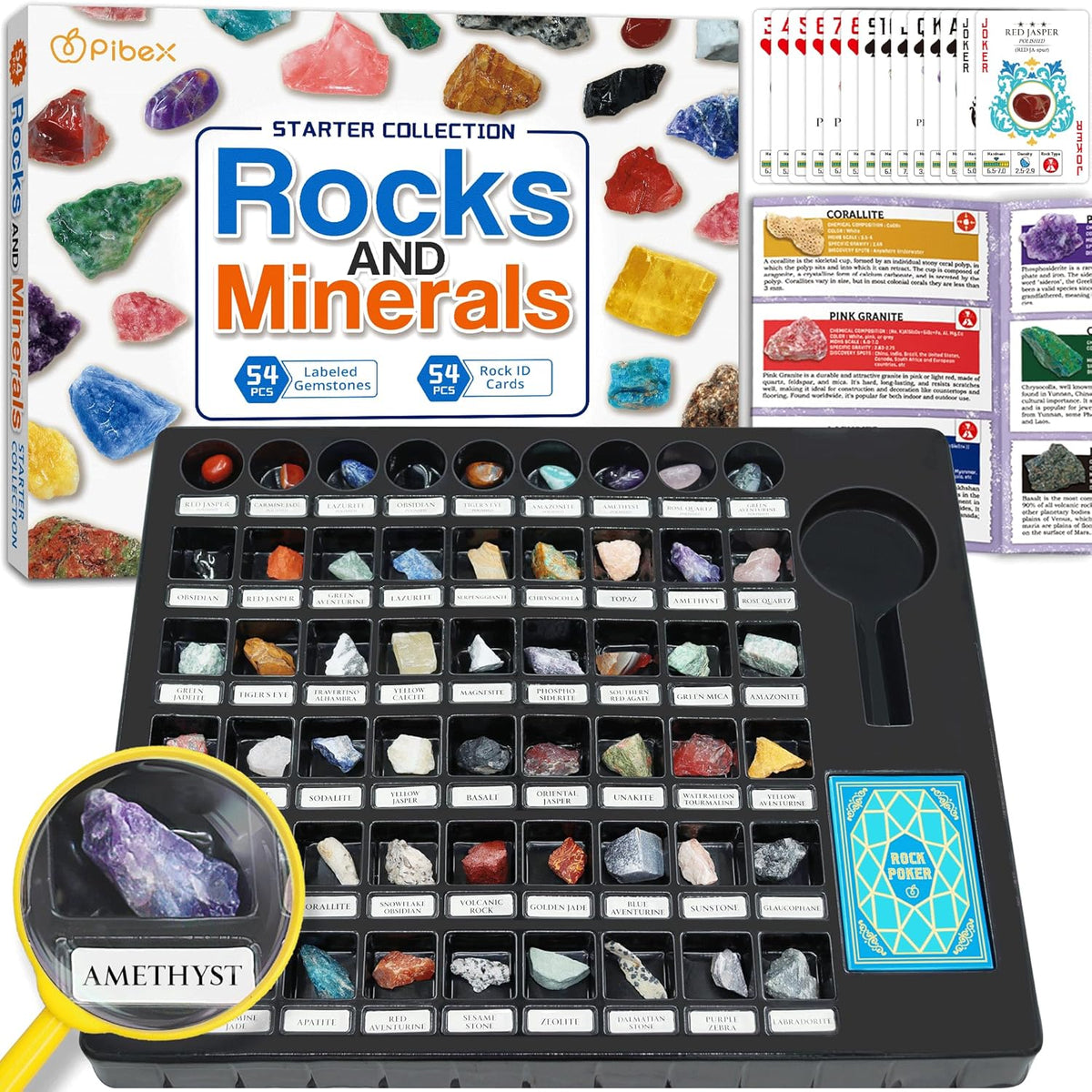PIBEX Rock Collection Starter Kit