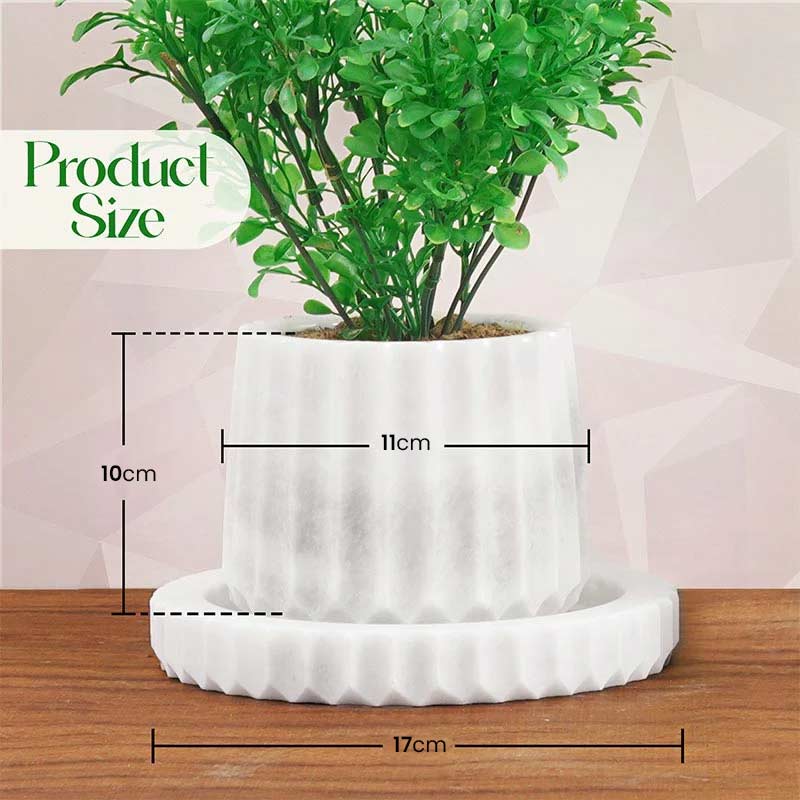Marble Planter Straight Line Design - 10cm
