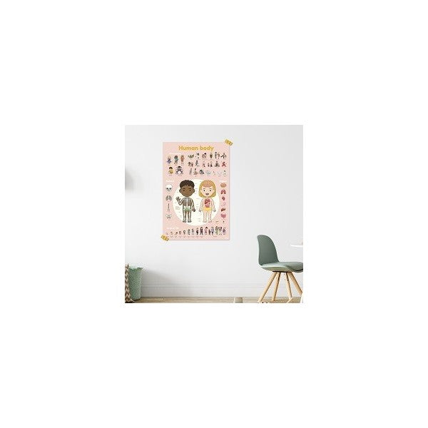 Discovery Stickers - Human Body (48)
