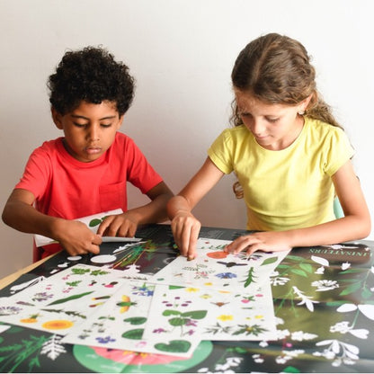 Discovery Stickers - Botanic