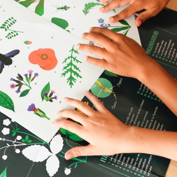 Discovery Stickers - Botanic