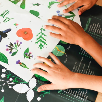 Discovery Stickers - Botanic