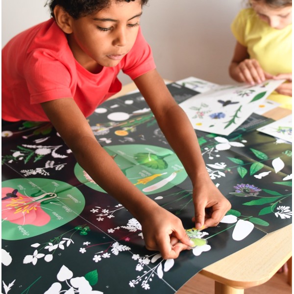 Discovery Stickers - Botanic