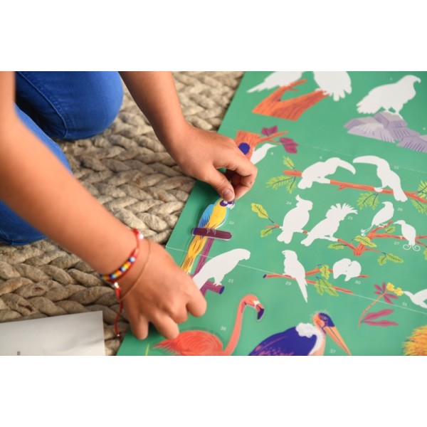 Discovery Stickers - Birds