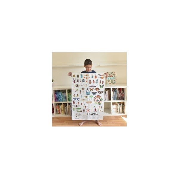 Discovery Stickers - Insects (44)
