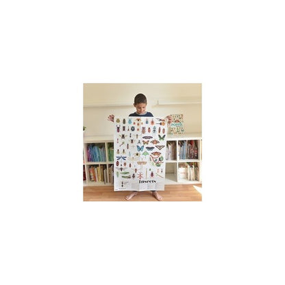Discovery Stickers - Insects (44)