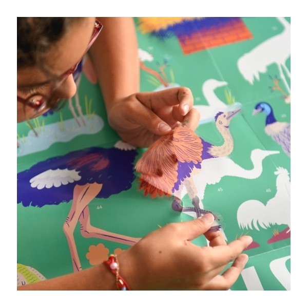 Discovery Stickers - Birds