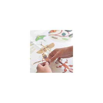 Discovery Stickers - Insects (44)