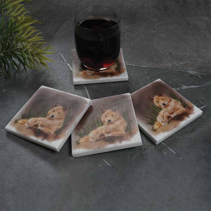 Marble Australian Wild Life Printed Coasters - Set of 4