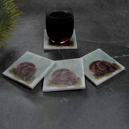 Marble Australian Wild Life Printed Coasters - Set of 4