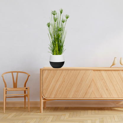 SOGA 4X 150cm Cyperus Papyrus Plant Tree Artificial Green Grass, Home Or Office Indoor Greenery Accent