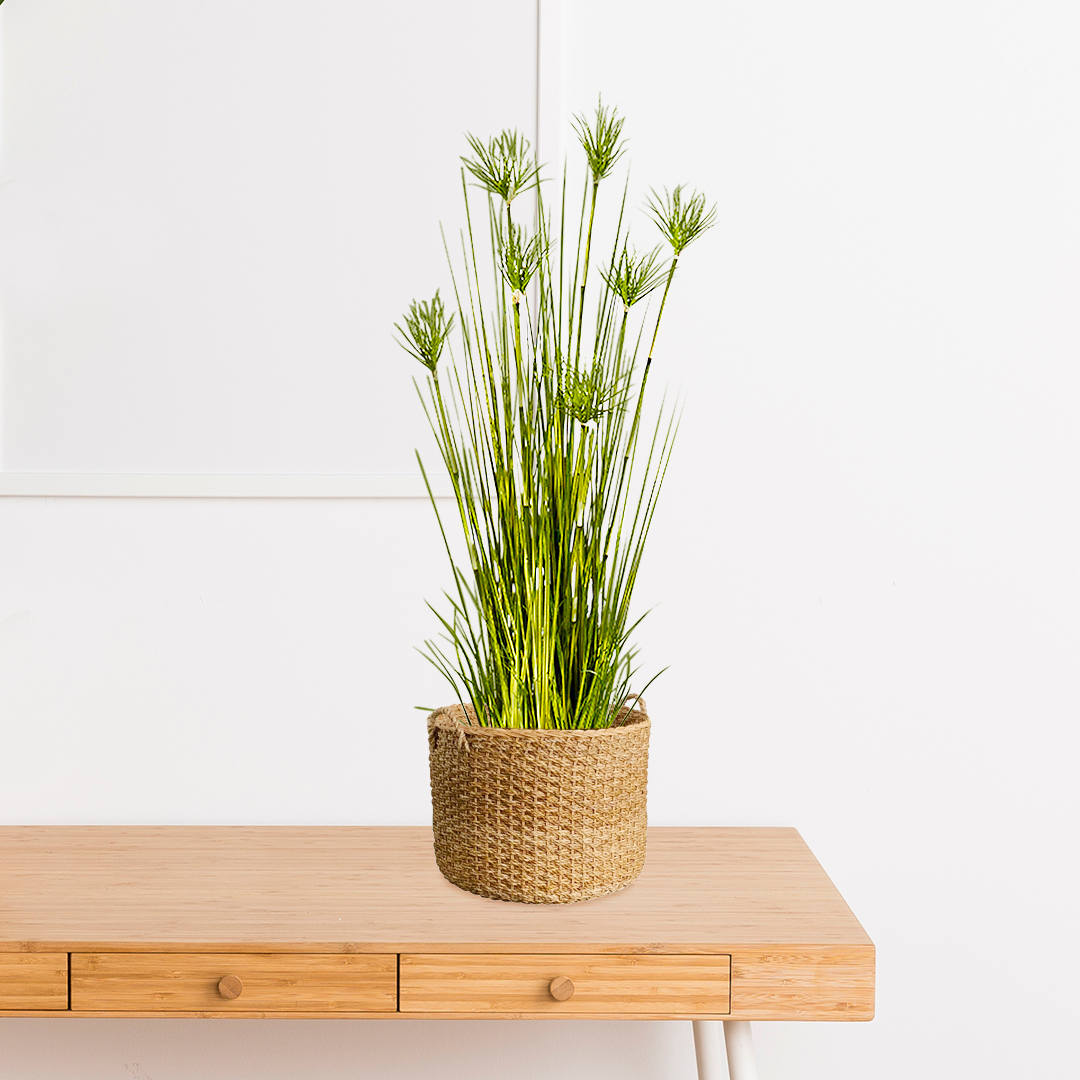 SOGA 2X 150cm Cyperus Papyrus Plant Tree Artificial Green Grass, Home Or Office Indoor Greenery Accent