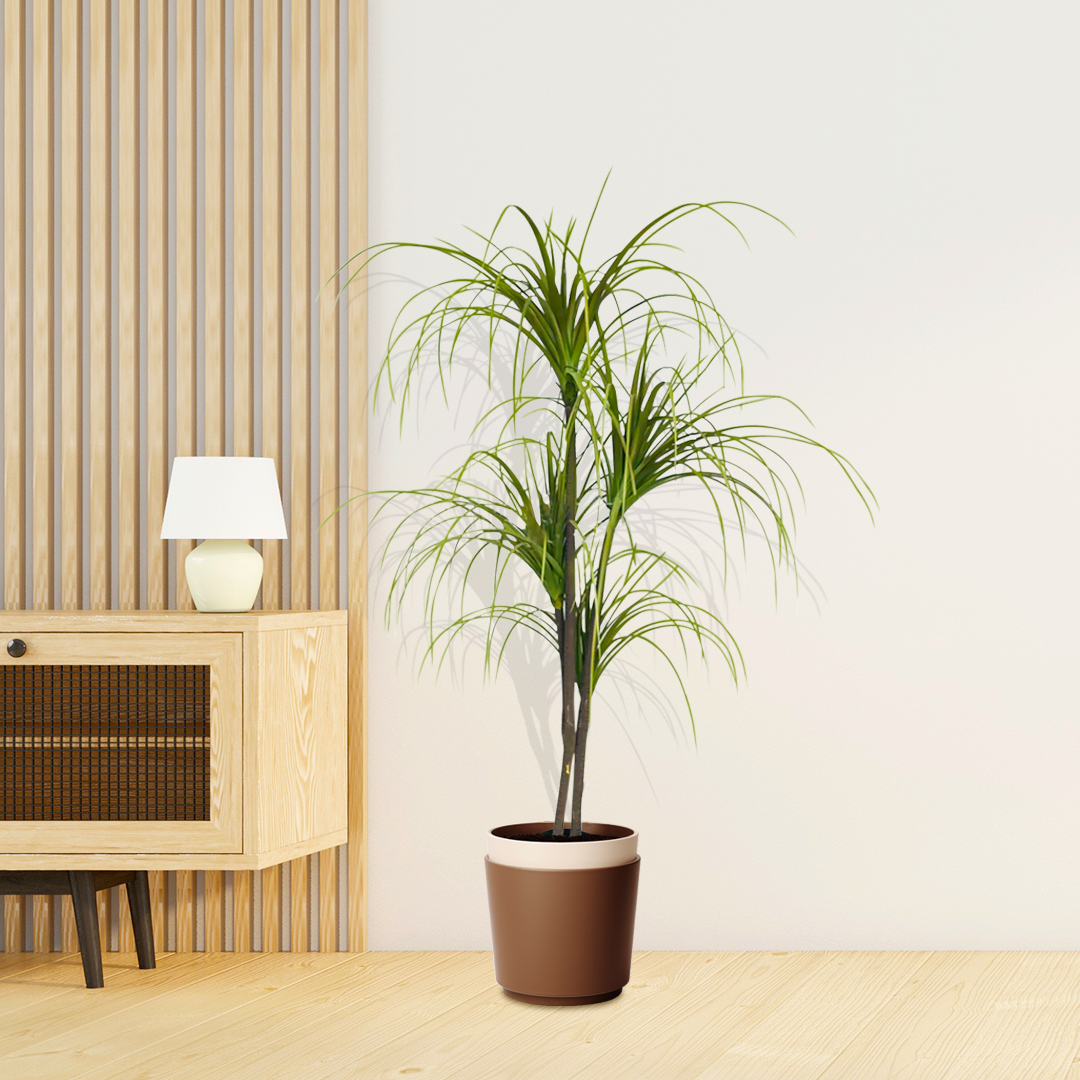 SOGA 2X SOGA 150cm Artificial Dracaena Plant Fake Potted, Simulation Tree Fake Plant Home Decor