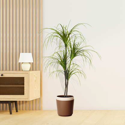 SOGA 2X SOGA 150cm Artificial Dracaena Plant Fake Potted, Simulation Tree Fake Plant Home Decor