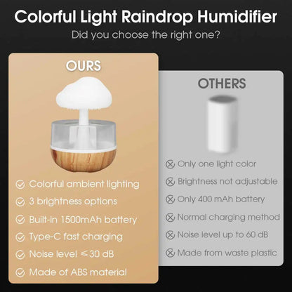 NIMBE rain cloud humidifier