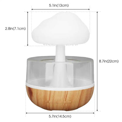 NIMBE rain cloud humidifier