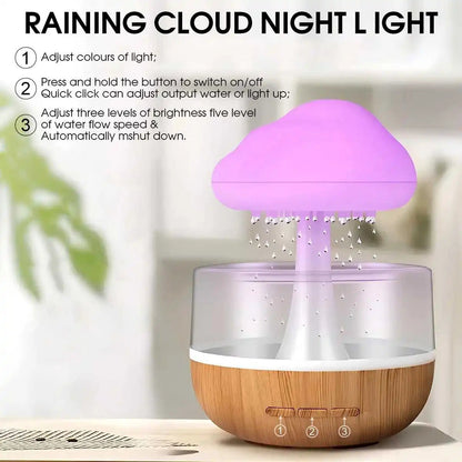 NIMBE rain cloud humidifier