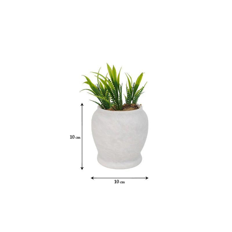 Marble Planter Pots