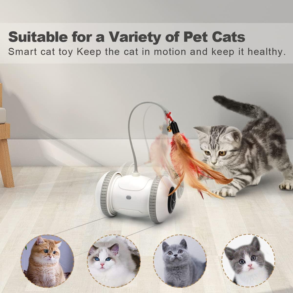 Nueplay Cat Toys Robotic Interactive Indoor Electronic Toys with