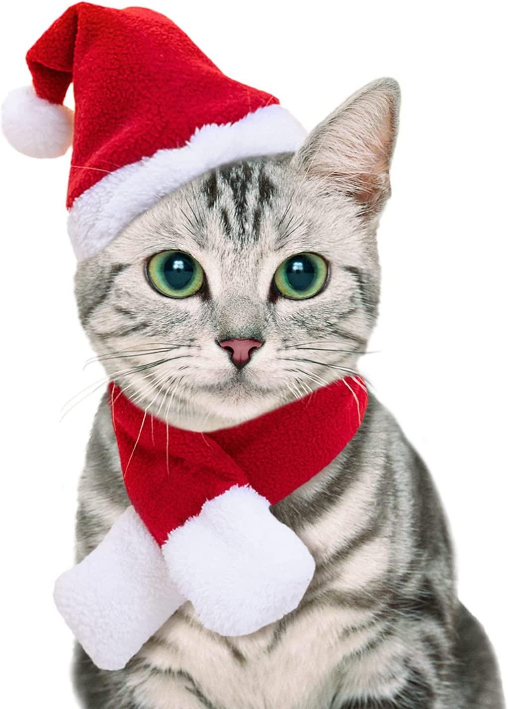Pet Christmas Costumes Cat Dog Santa Cap Costume Christmas Hat Suitf Gifts Hub Australia