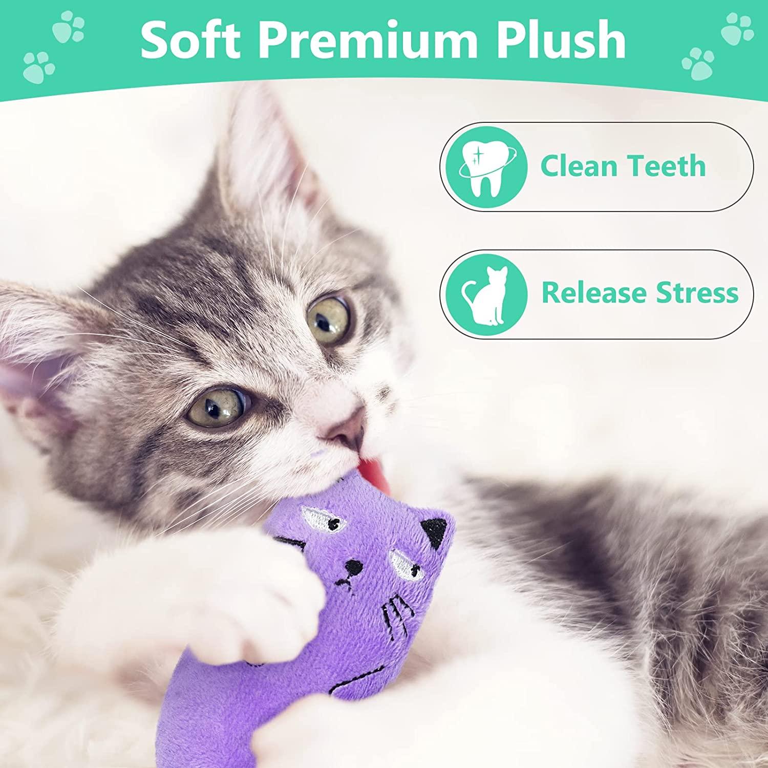 Catnip Toys 8 PCS Soft Plush Cat Nip Chew Toy for Indoor Cats Inte Gifts Hub Australia