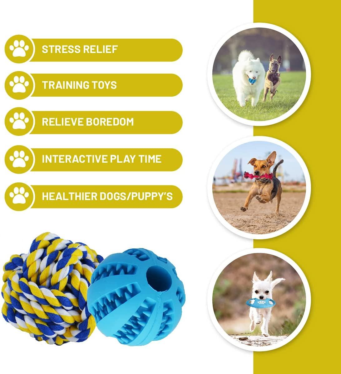 Great Pet Gift of Puppy Toys for Small Medium Dogs,Dog Toy Gift Box - Gifts-Australia