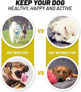 Great Pet Gift of Puppy Toys for Small Medium Dogs,Dog Toy Gift Box - Gifts-Australia