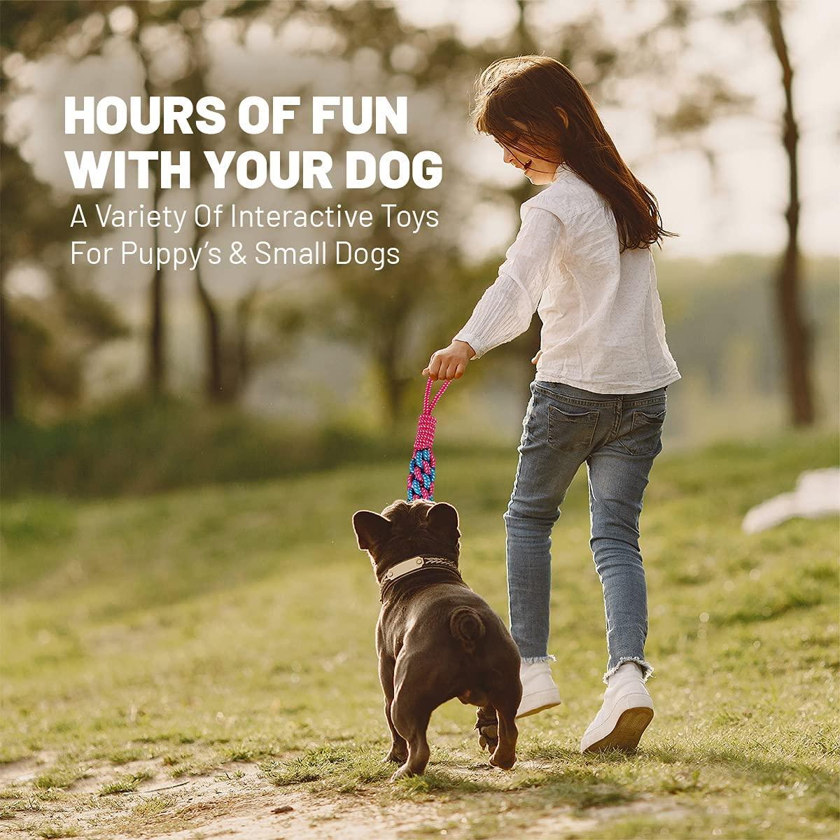 Great Pet Gift of Puppy Toys for Small Medium Dogs,Dog Toy Gift Box - Gifts-Australia