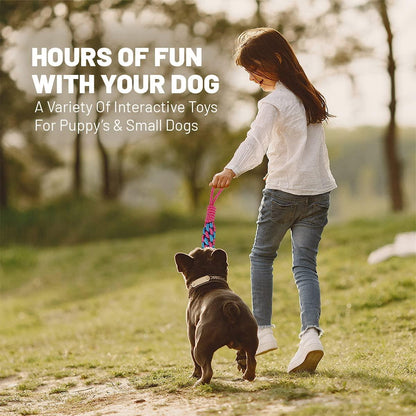 Great Pet Gift of Puppy Toys for Small Medium Dogs,Dog Toy Gift Box - Gifts-Australia