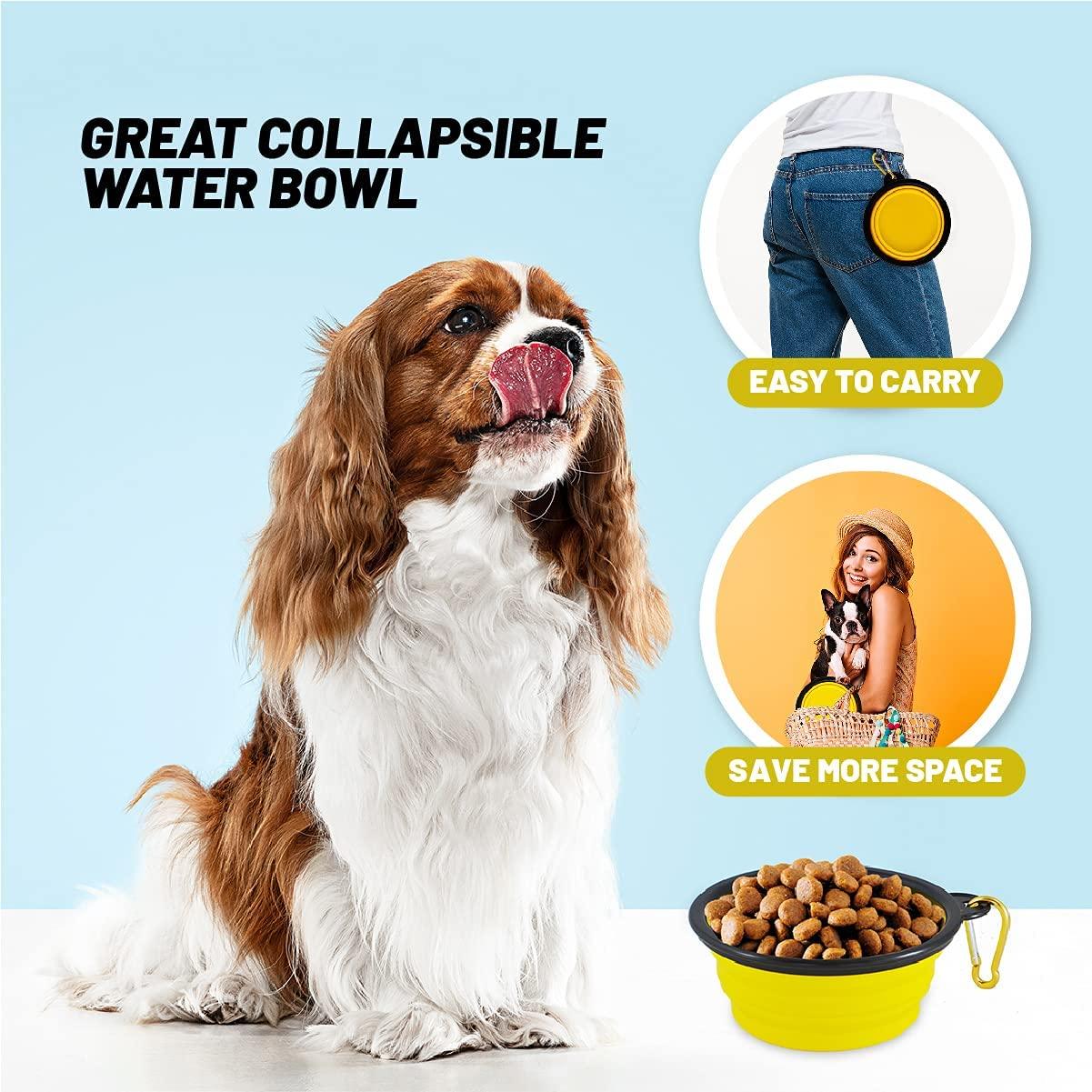 Great Pet Gift of Puppy Toys for Small Medium Dogs,Dog Toy Gift Box - Gifts-Australia