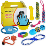 Great Pet Gift of Puppy Toys for Small Medium Dogs,Dog Toy Gift Box - Gifts-Australia