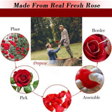 24k Red Gold Plated Rose 