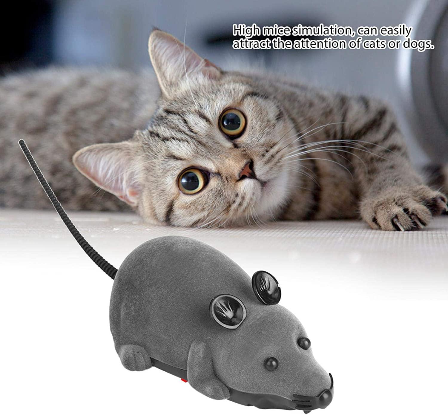 Remote control mouse cat toy australia outlet