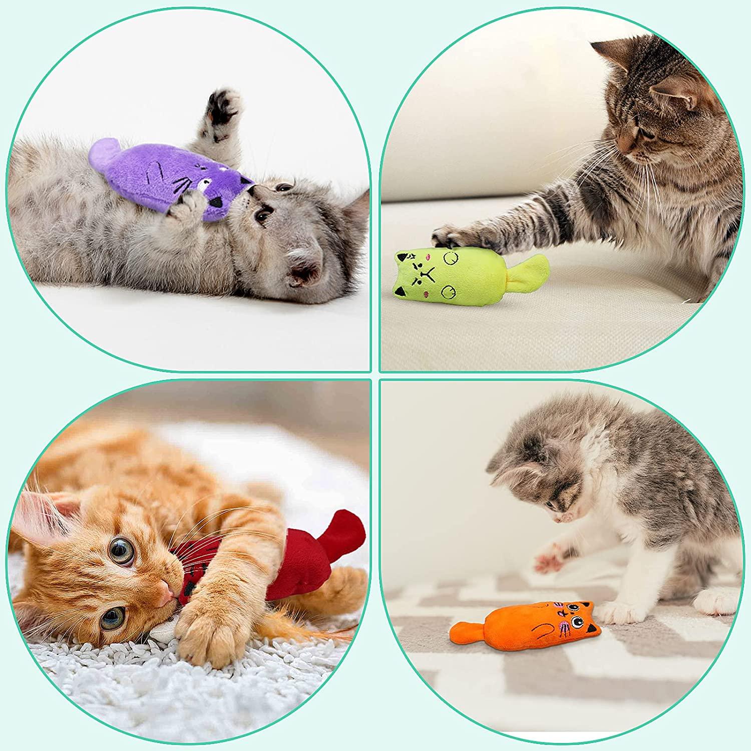 Catnip Toys 8 PCS Soft Plush Cat Nip Chew Toy for Indoor Cats Inte Gifts Hub Australia