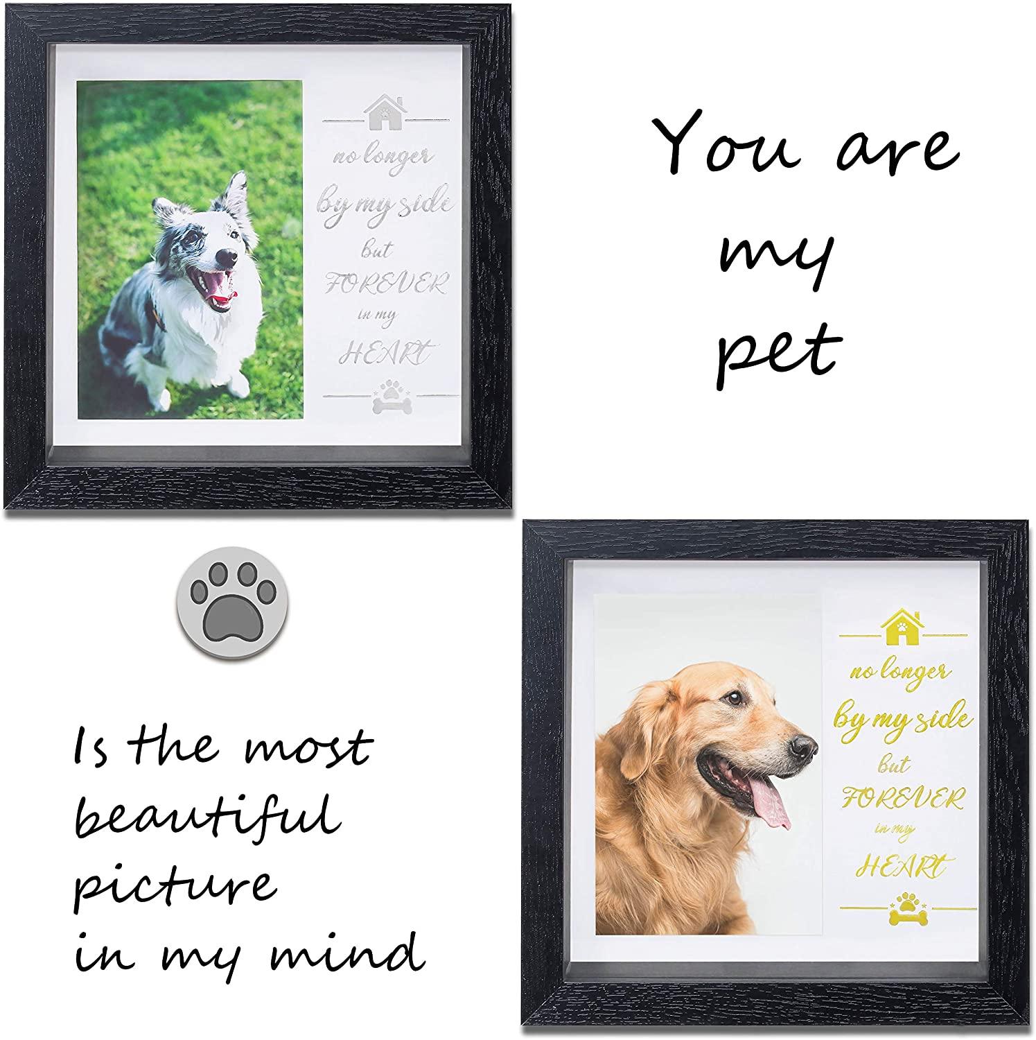 Dog Memorial Sentiment Frame,Pet Collar Frame Remembrance Sympathy Dog - Gifts-Australia